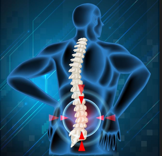 Spine highlighting back pain