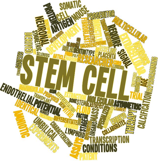 Word chart covering stem cell therapy