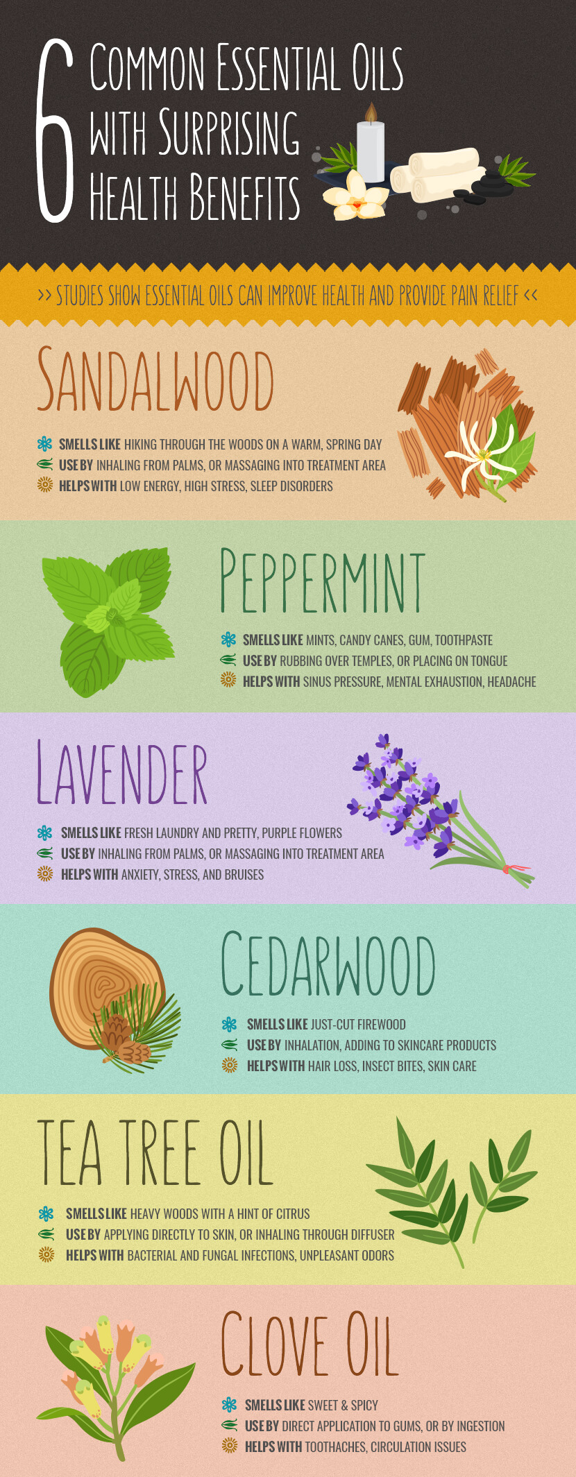 essential oils infographic