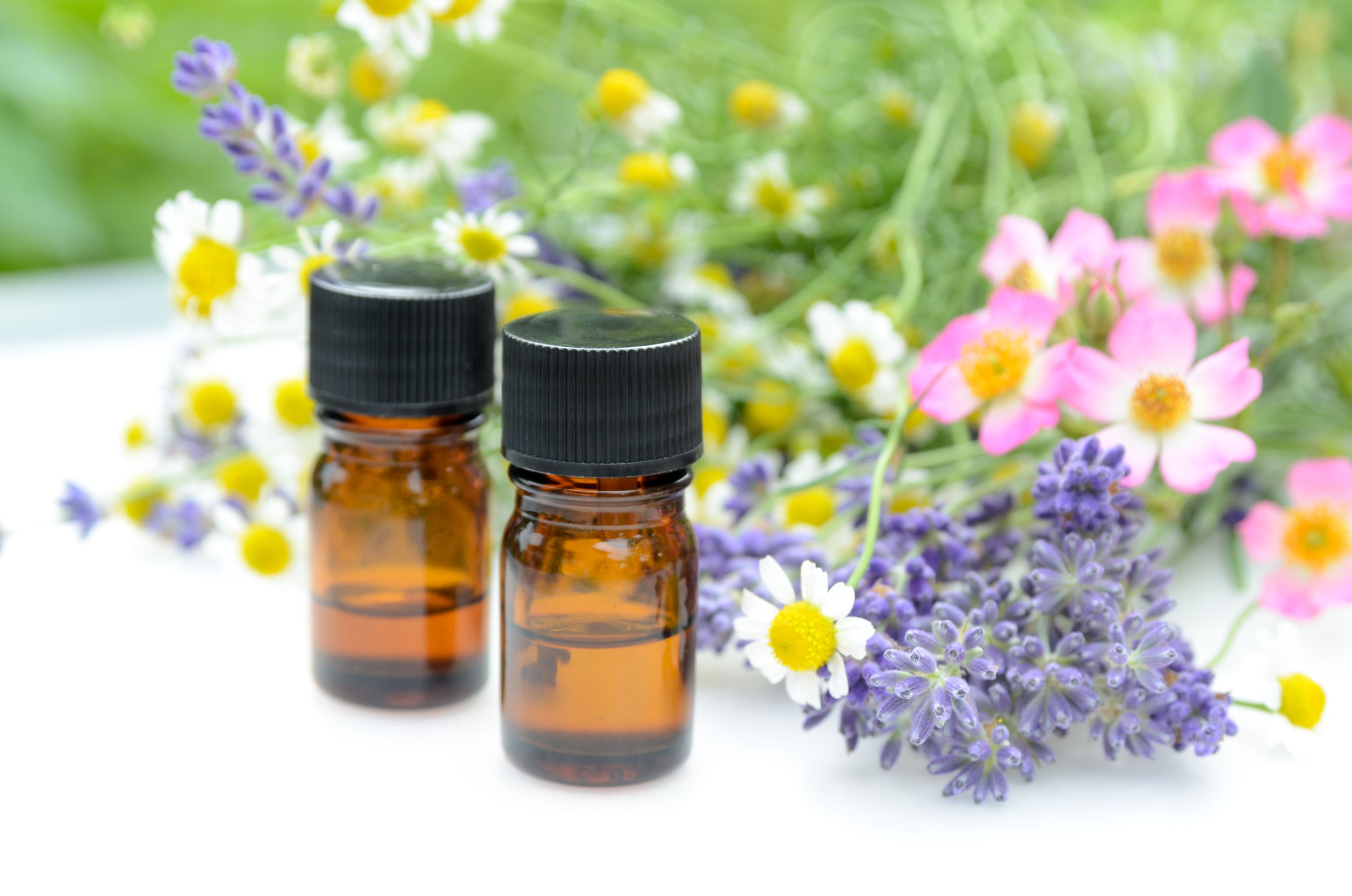 3 масла. DOTERRA анис. Аромамасла для детей. Травяные эфирные масла. Эфирные масла от комаров.