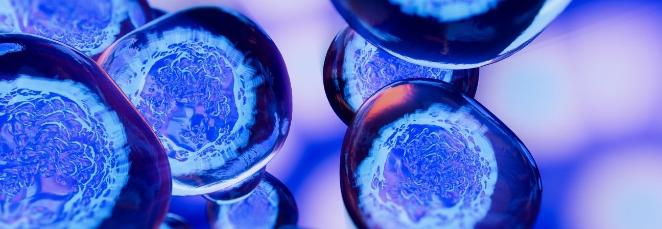 stem cell therapy charlotte stem cell therapy charlotte